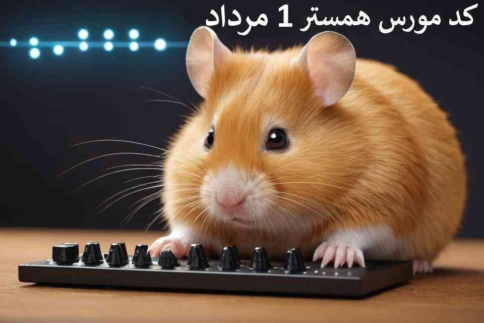 کد مورس امروز همستر کمبات 1 مرداد - Hamster Kombat morse code