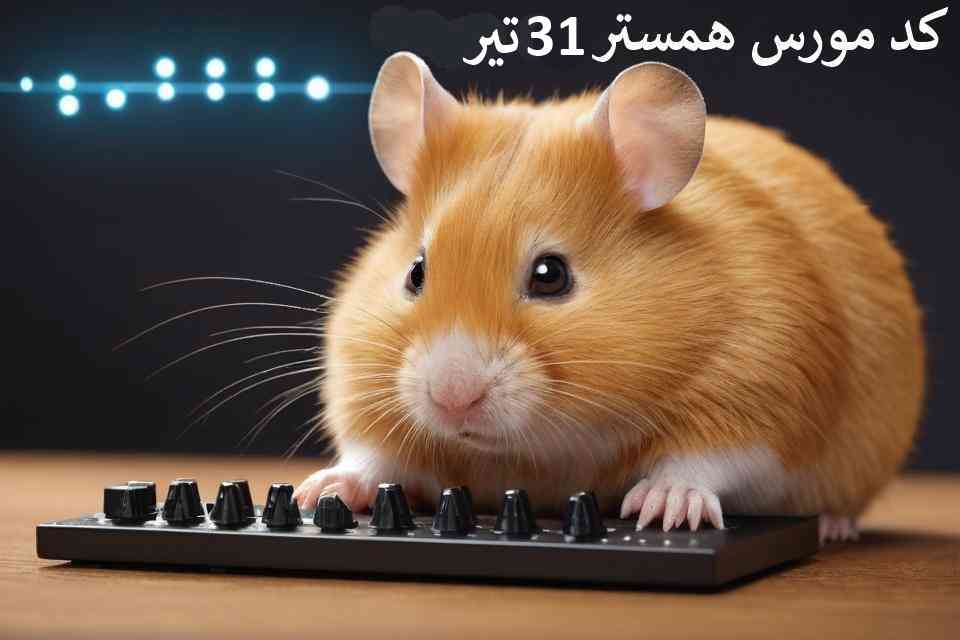 کد مورس امروز همستر کمبات 31 تیر - Hamster Kombat morse code